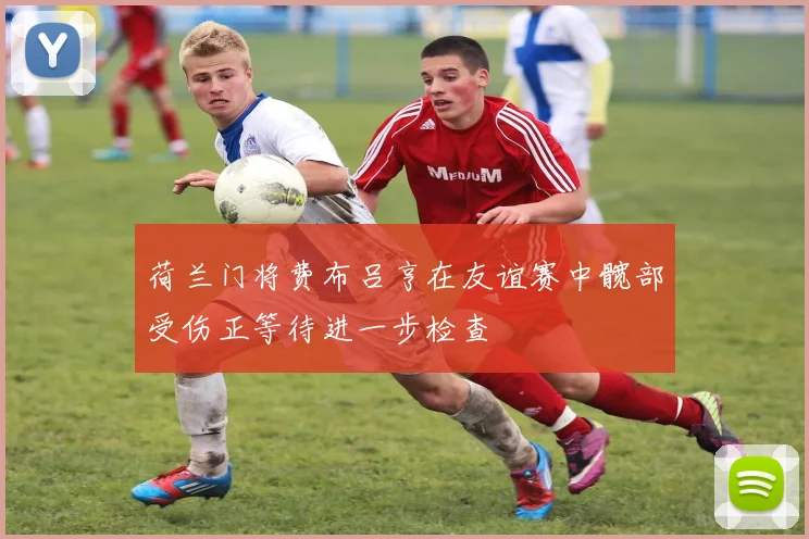 荷兰门将费布吕亨在友谊赛中髋部受伤正等待进一步检查